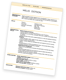 Resume Example Sample 2